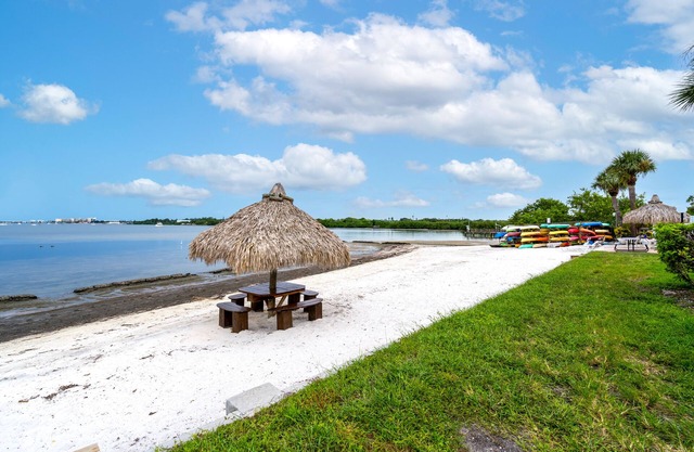 Upscale Condo, Private beach, overlooking ocean, pool, Gated community