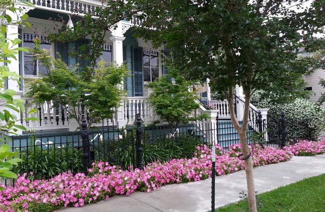 Uptown Enchantment In the Heart of New Orleans is a charming family friendly
