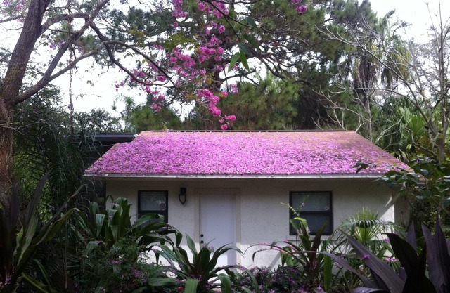 Urban Oasis: Secluded Cottage w/ Lush Botanical Gardens