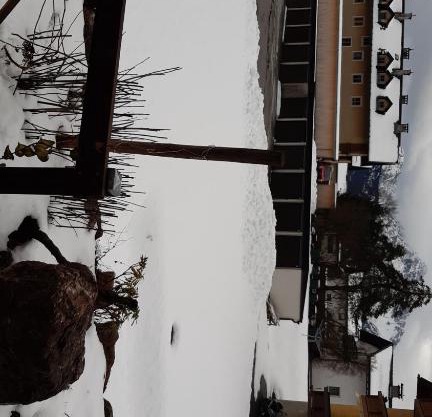 Urisee