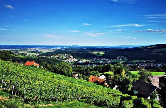 Urlaub in den Weinbergen