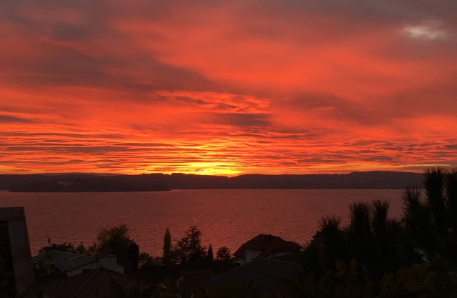 Vacation apartment in a prime residential location with a fantastic view of the island of Mainau