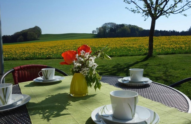 Vacation apartment Gänseblümchen - Holiday apartment Katzheim