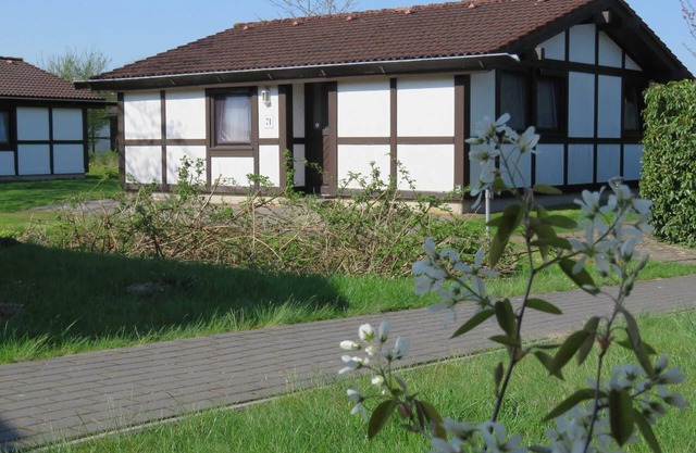 Holiday Scout Persons The Village Altes Land 