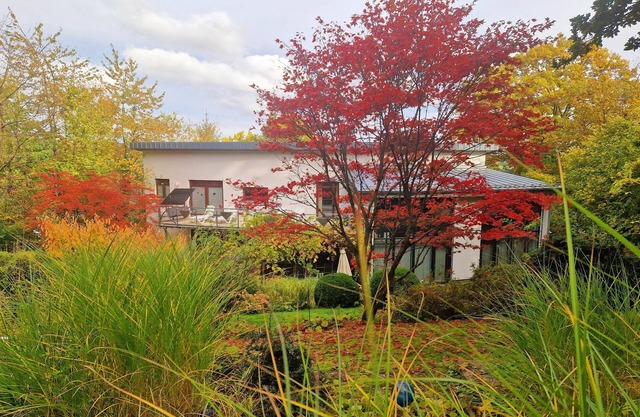 Vacation home for 10 guests with 300m² in Frankenberg (Eder) (271738)