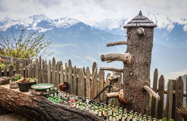 Vacation home Zillertal Panorama view