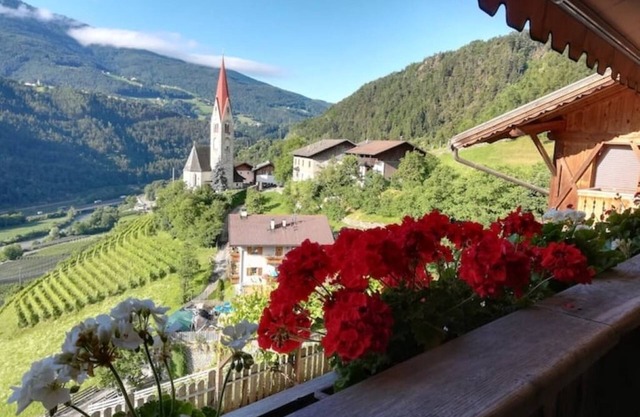 Vacations at the winery: Stylish, air-conditioned apartment newly renovated