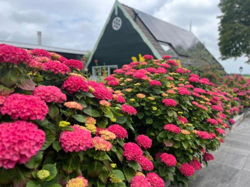 Vakantiehuis Het Uilennest