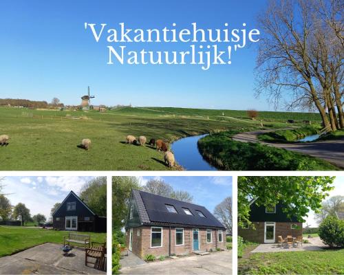 'Vakantiehuisje Natuurlijk! - nabij molen, meer, strand & stad'