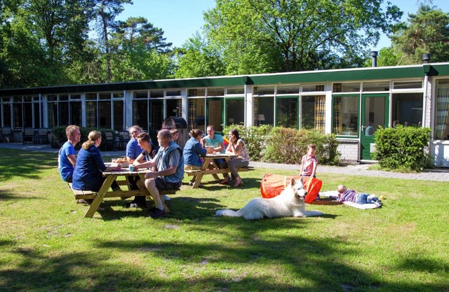 Vakantiepark de Noordster 9