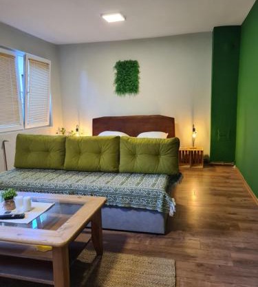 Veljanov Apartment 1