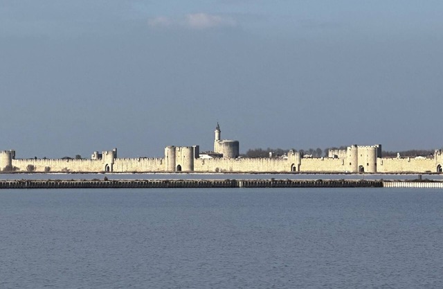 Very close to the medieval city of Aigues-Mortes, marina, with swimming pool