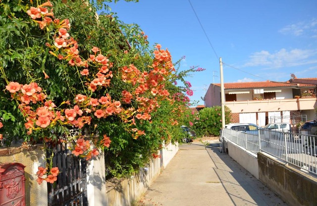 Via Delle Ginestre - FPO-GINEBIG - GINELIT