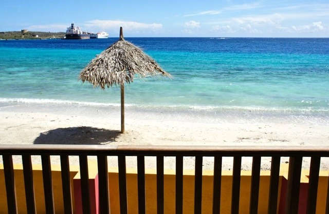 View over beach and sea Palapa Ocean Side