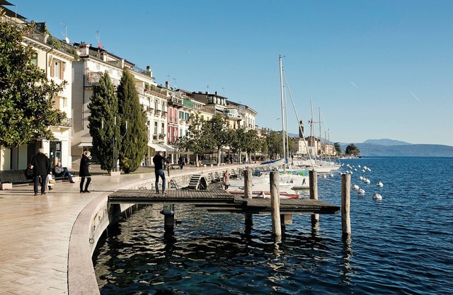 Villa Alberti 900m from Garda lake