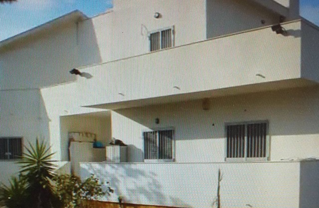 Villa Alma, independent apartment In Villa 700mt to The Sea