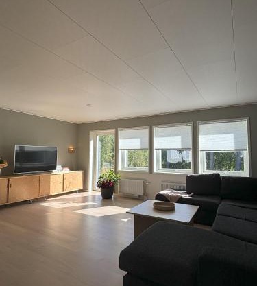 Villa by birches