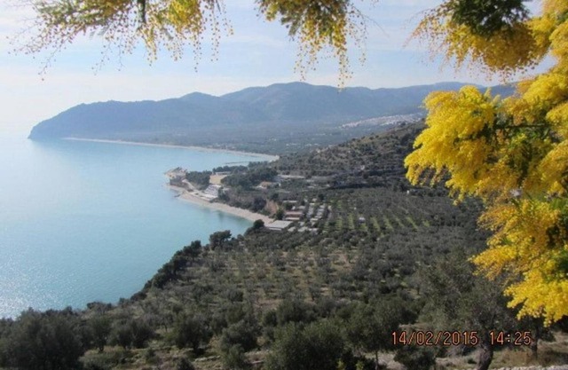 Villa Gargano