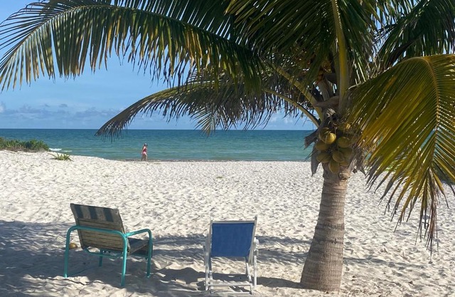 Villa Gaviotas el cuyo beach