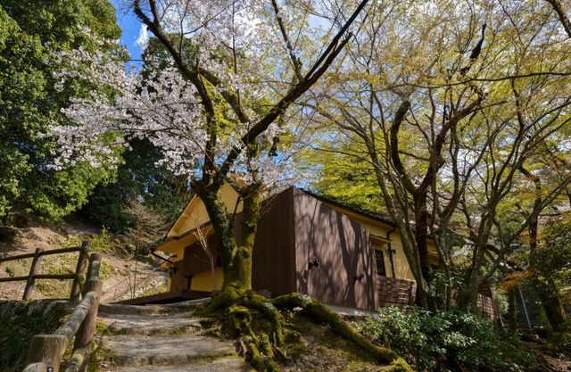 Villa Hamorebi