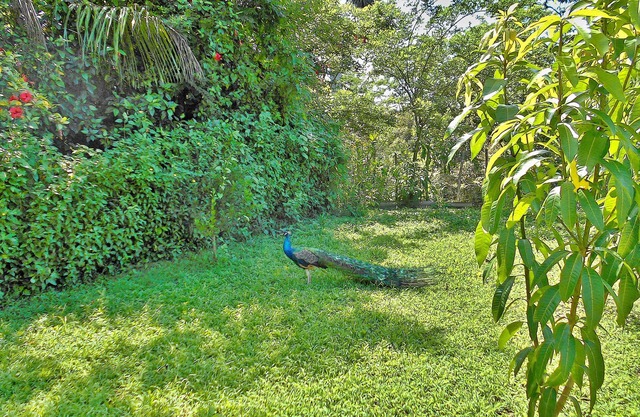 Villa Juanita