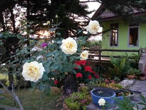 Villa Lek Noi 2