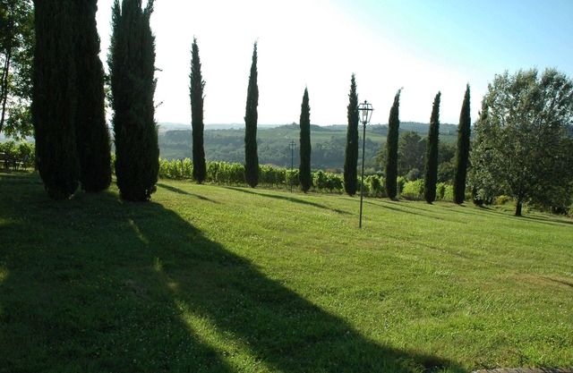 Villa Panconesi Standard CELLAR apartment