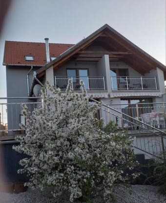 Villa Rigo Panzió