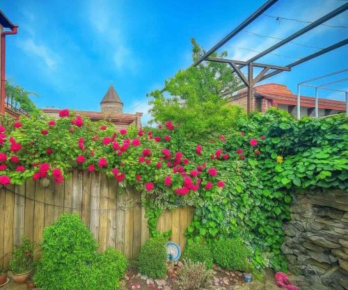 VILLA SABA WITH TWO BEDROOMS- სასტუმრო საბა