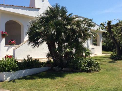 Villa Sul Mare Rosa Marina 