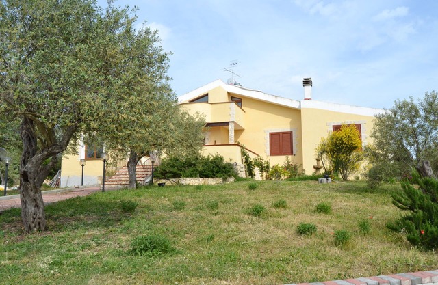 Villaial, recent, with swimming pool, surrounded by greenery among olive trees
