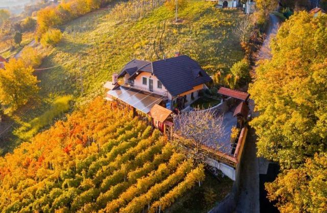 Vineyard Cottage Bregač, Šmarješke Toplice, Slovenia