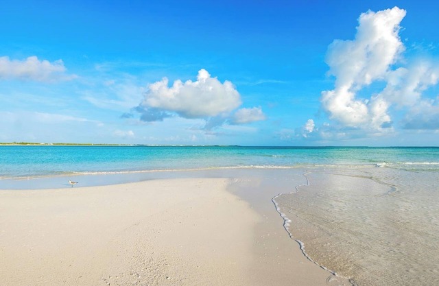 VIP Beachfront - Large & Luxurious - End Unit