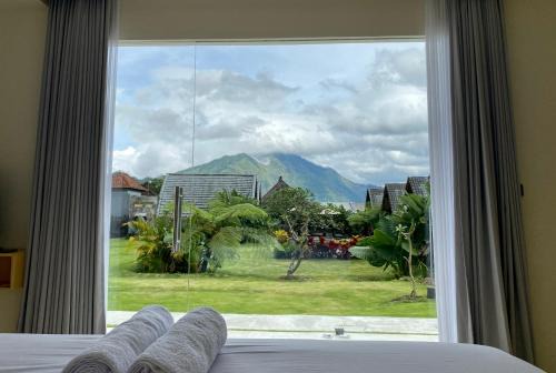 Volcano Bliss