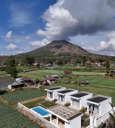 Volcano Garden