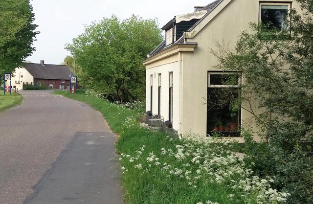 Waalzicht