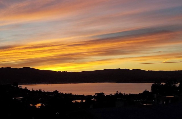 Wake up to breathtaking bay views in Tiburon