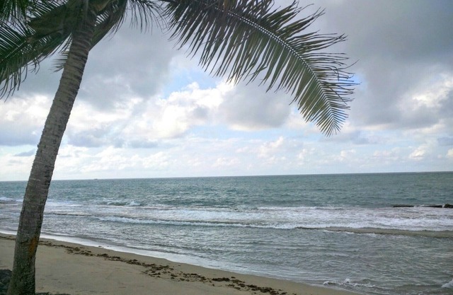 Walk to Beach, Golf, Pool in Beautiful Dorado Beach