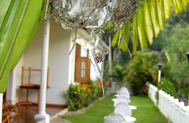 Water Garden Hotel
