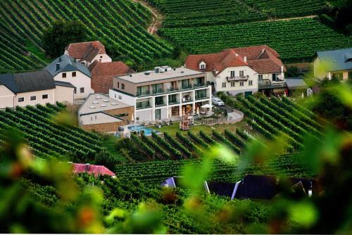 Weingut Donabaum "In der Spitz"