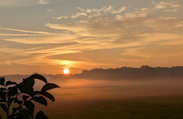 Welcome to the Lower Rhine - your cozy vacation home for relaxing days!
