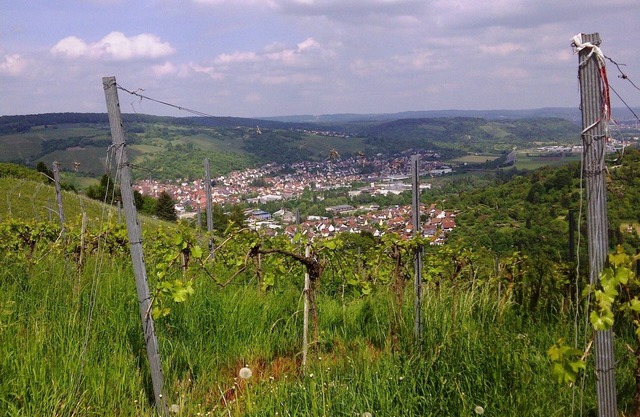 Welcome to the "Swabian Tuscany" .