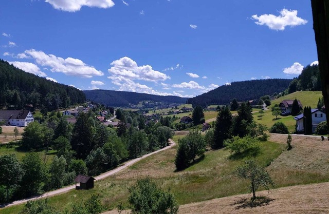 Welcome to Tonbachtal-Baiersbronn - Apartment for up to 8 people & pets