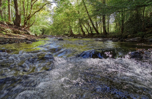 Whispering Creek by RedAwning