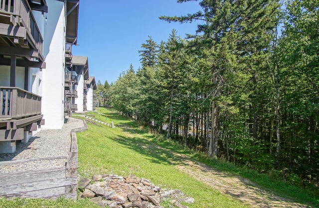 Whistlepunk # 28: 2 Bedrooms, 2 Full Baths: Slope Side. Wood Fireplace. Central Location.