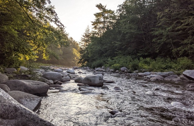 White Mountain scenic river camp with cozy cabin