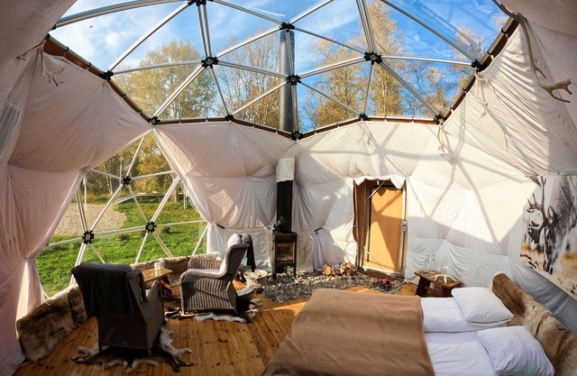 Wild Caribou Dome