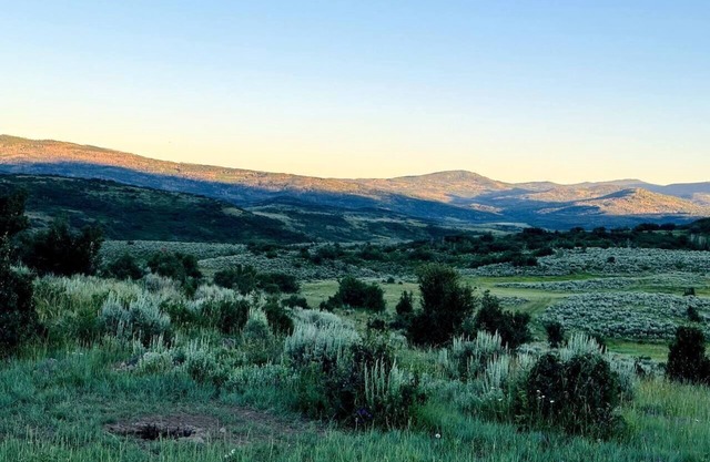 Wildflower - Hunters cabin stay