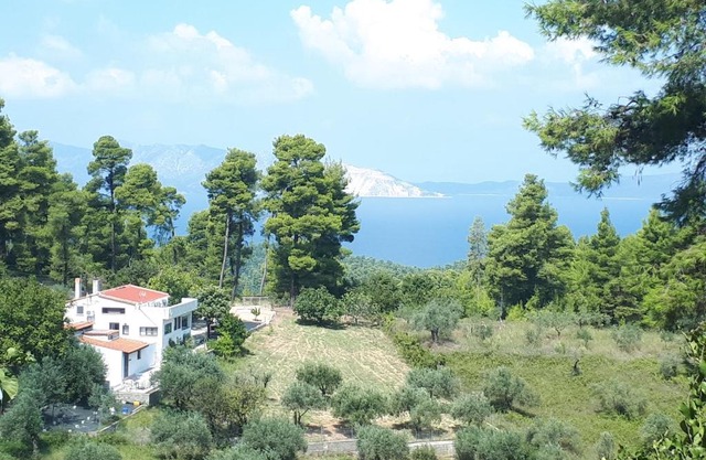 Wildherb House