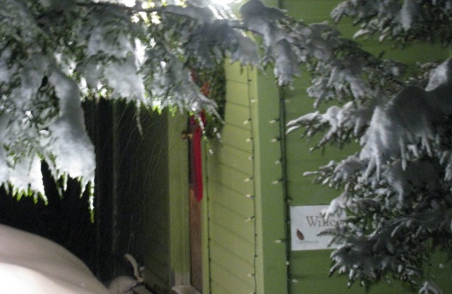 Willow Cottage - A Great Getaway for a Group or Family
